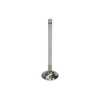 Manley +1mm Oversize Exhaust Valves Set: Scion tC 05-10 / xB 08-15 (xB2) 2AZFE