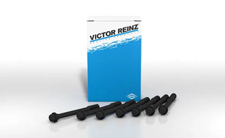 Victor Reinz Cylinder Head Bolts: Toyota Camry 2002 - 2006, Scion tC 2005 - 2006