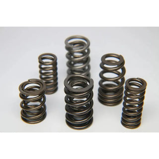 Ferrea Dual Valve Spring: Scion tC 2011 - 2016 (2ARFE) Set of 16
