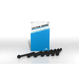 Victor Reinz Cylinder Head Bolts: Scion xA 2004 - 2006 & Scion xB 2004 - 2006