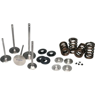 Ferrea Single Spring Kit: Scion FR-S (13-16), Subaru BRZ (13-20) & Toyota 86 (17-20)