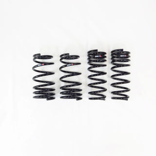 RS-R Suspension Down Sus Series Lowering Spring Kit: Subaru BRZ 2022 - 2024