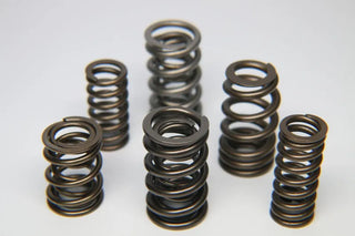 Ferrea Dual Valve Spring: Scion tC 2011 - 2016