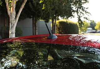 Perrin Performance Shorty Antenna: Toyota 86 (17-20), Subaru BRZ (13-20) & Scion FR-S (13-16)