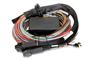 Haltech Elite 2500 Standalone ECU: Fits Most Models