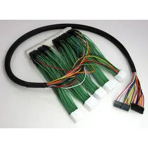 Boomslang AEM F/IC-6 Plug N Play Harness: Scion xA / xB 2006