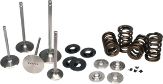 Ferrea 12-15 Scion/Subaru FR-S/BRZ Single Spring Kit