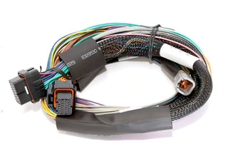 Haltech Elite 1500 Standalone ECU: Fits Most Models w/ 8 Foot Long Basic Flying Lead Harness