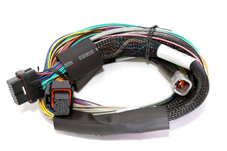 Haltech Elite 2500 Standalone ECU: Fits Most Models w/ 8 Foot Long Basic Flying Lead Harness