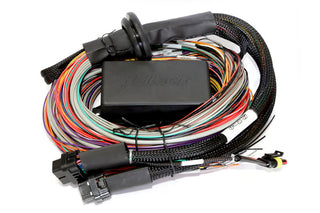 Haltech Elite 2500 Standalone ECU: Fits Most Models