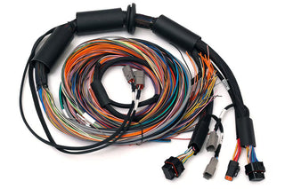 Haltech Flying Lead Harness: Fits Most Models w/ Nexus R3 VCU