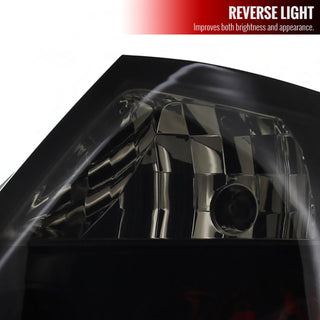 Spec D Euro Tail Lights (Dark Black): Scion tC 2005 - 2010