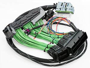 Boomslang AEM EMS-4 Plug N Play Harness: Scion xB 2008 - 2015 (xB2)
