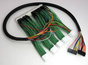 Boomslang AEM F/IC-6 Plug N Play Harness: Scion xA / xB 2006